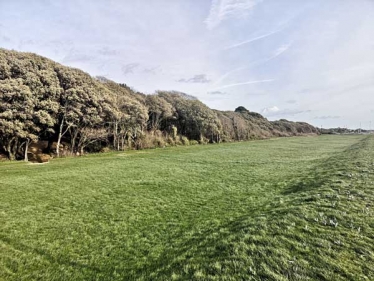 Stokes Bay Moat Stanley Park